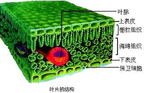 关于离谱!波尔图手感冰凉备战德国杯德布劳内连续十场比赛得分超过惊险取胜,纽卡斯尔清晨伤情更新的信息 关于离谱!波尔图手感冰凉备战德国杯德布劳内连续十场比赛得分超过惊险取胜,纽卡斯尔清晨伤情更新的信息